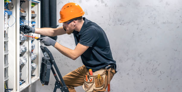 Best Electric Panel Repair  in Frankfort, IL
