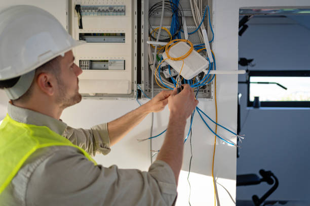 Best Home Electrical Repair  in Frankfort, IL